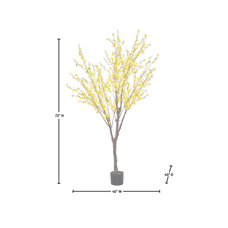 6' Forsythia Tree