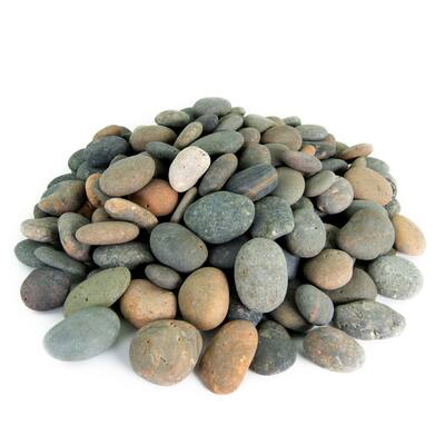 Mexican Beach 20-pound Smooth Round Garden Pebbles