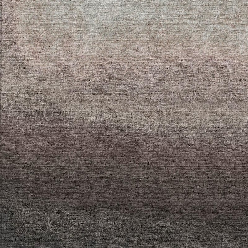 HomeRoots Ombre Transitional Rectangle Outdoor Rug