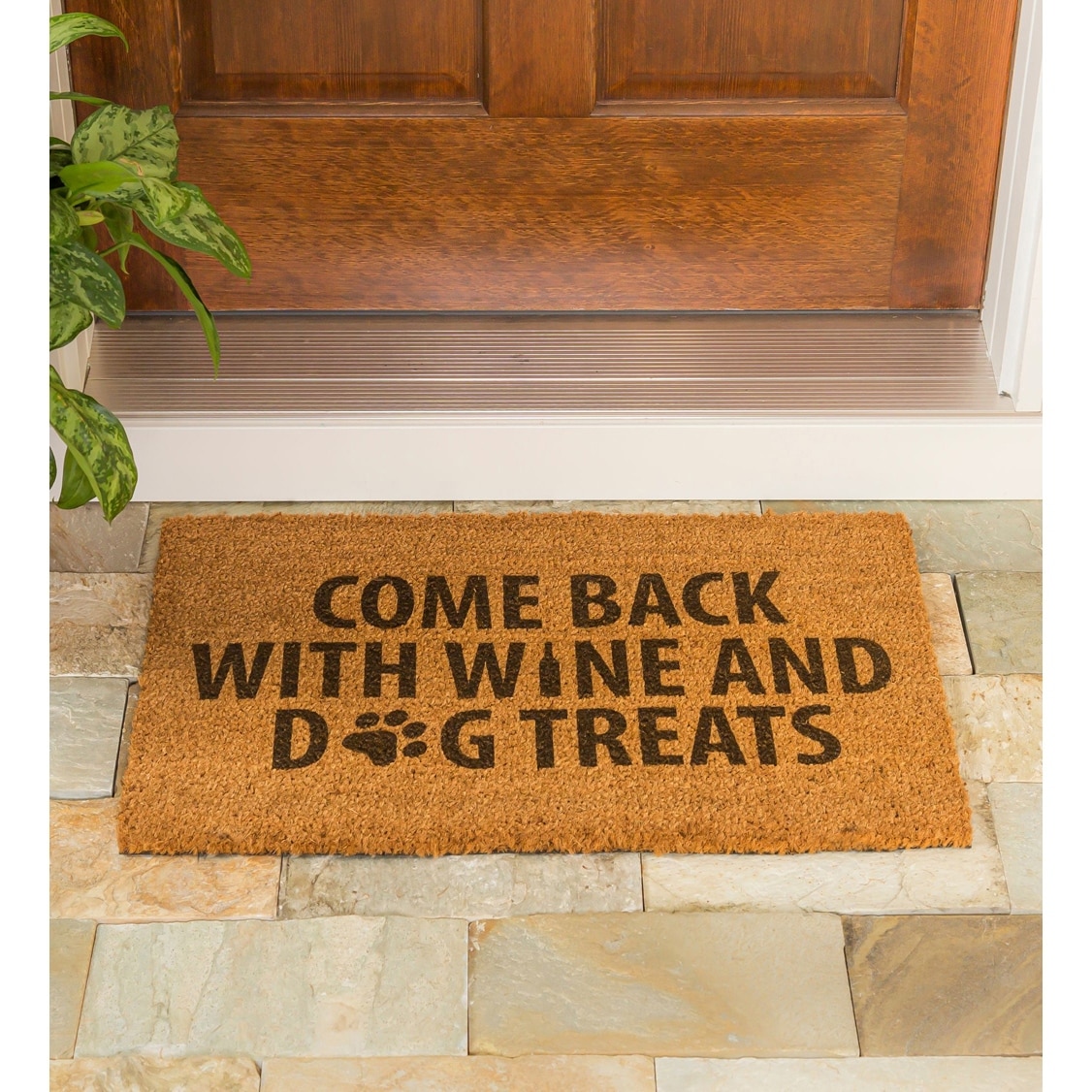 "Come Back With Wine and Dog Treats" Coir Door Mat
