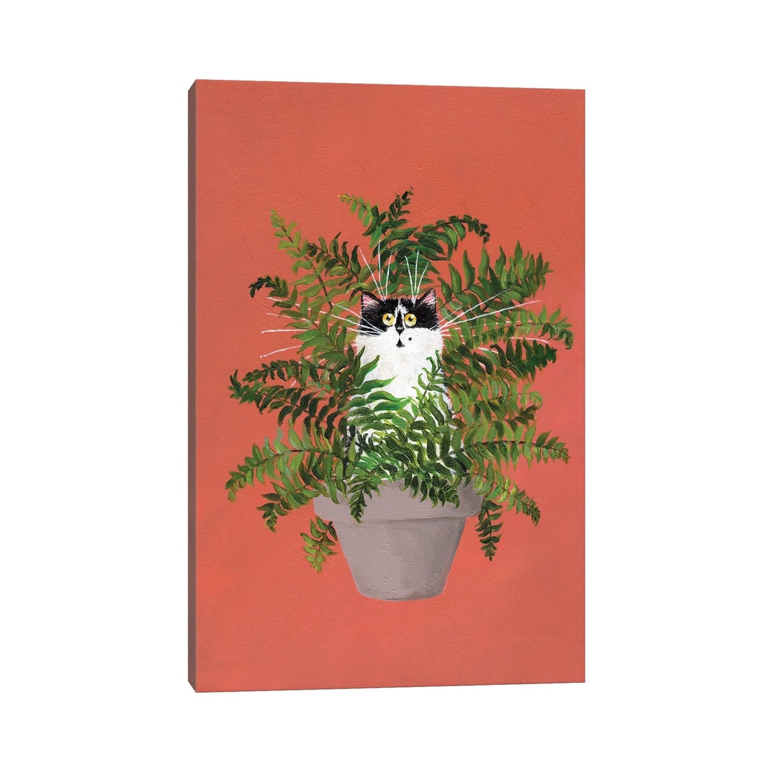 iCanvas "Cleo In A Fern" by Kim Haskins Canvas Print