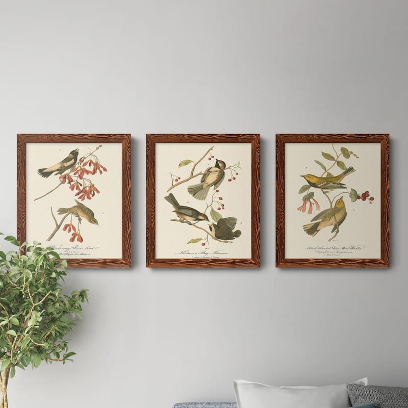Wandering Rice Bird-Premium Framed Canvas - Ready to Hang - Multi-Color