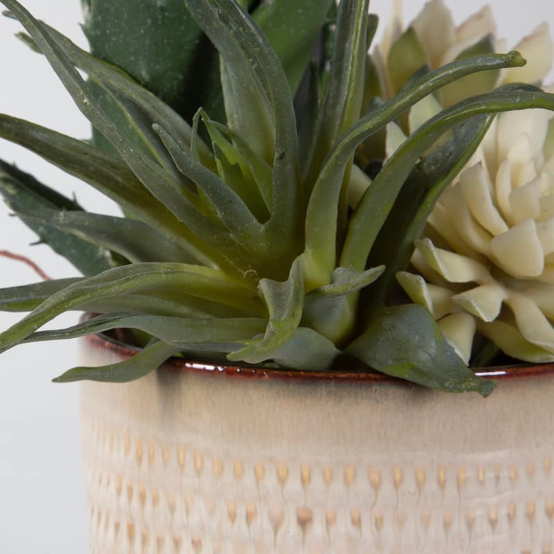 Uttermost Seaside Succulents, Set Of 2 - 9"W x 12"H x 7"D