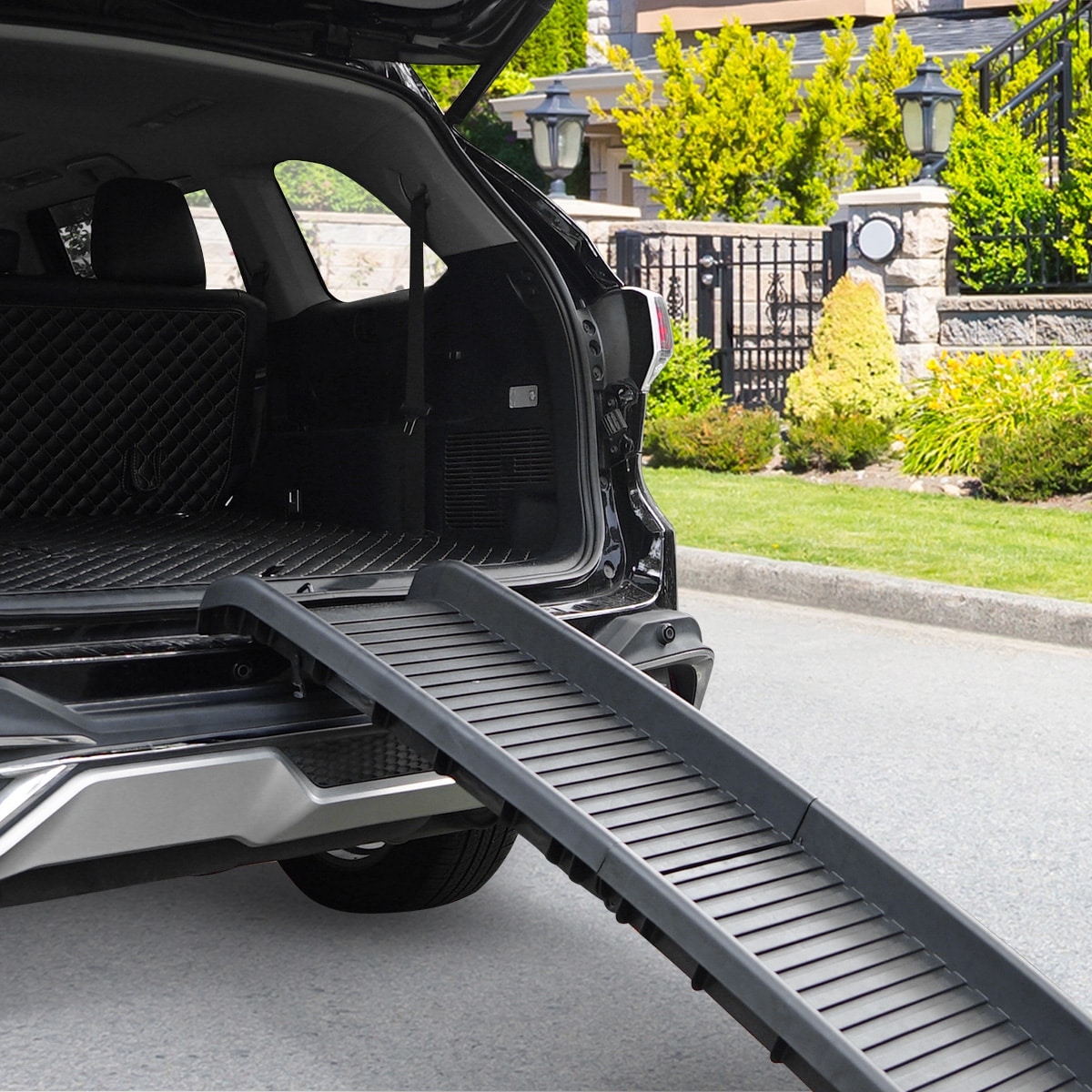 dog ramp for car back seat