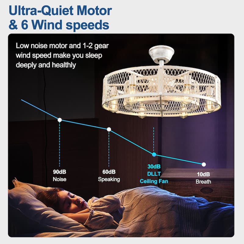 20-26" Caged outdoor Ceiling Fan with Light: Remote App Control-Farmhouse Fandelier Flush Mount Fixture Reversible 6 Speed Timer