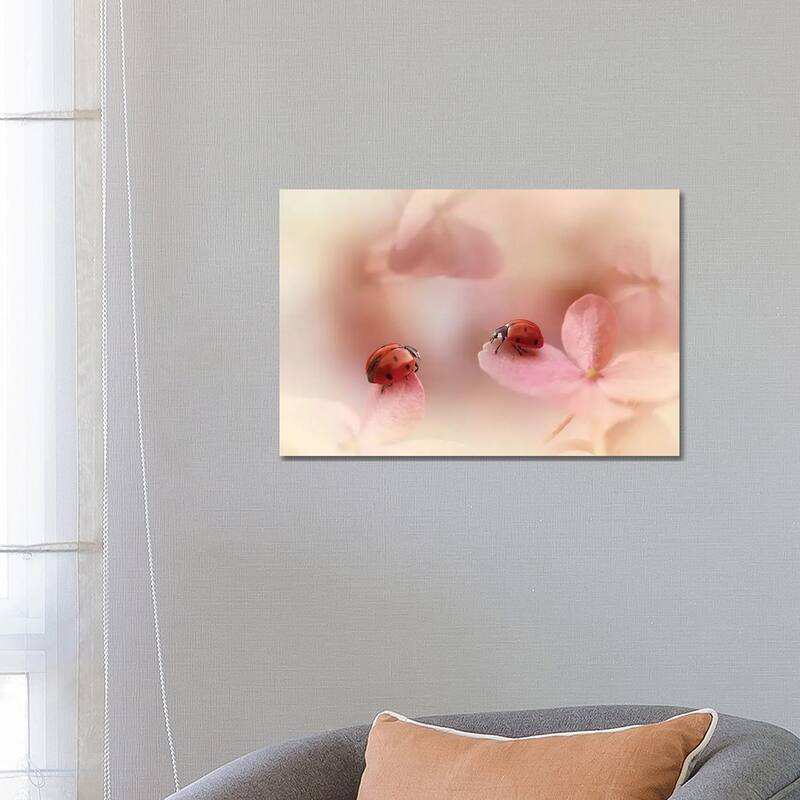 iCanvas "Ladybugs On Pink Hydrangea." by Ellen van Deelen Canvas Print - 18x26x1.5