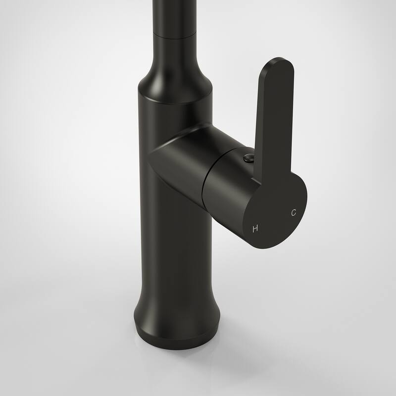 Single Handle Pull Down Kitchen Faucet with Sprayer Brass Swivels 360° Kitchen Faucet