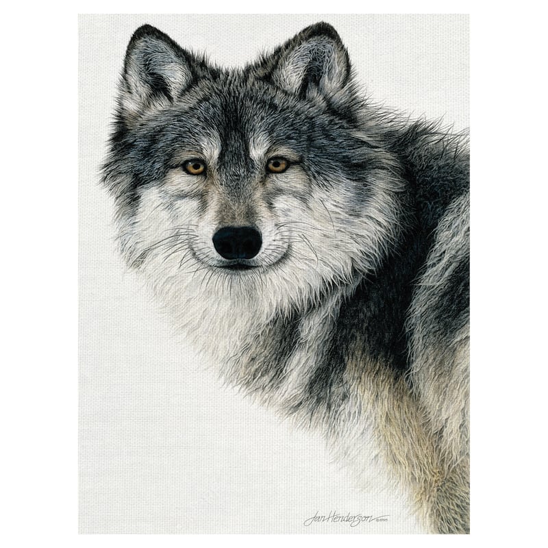 Silent Watch by Jan Henderson Canvas Art Print