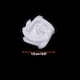 Option White