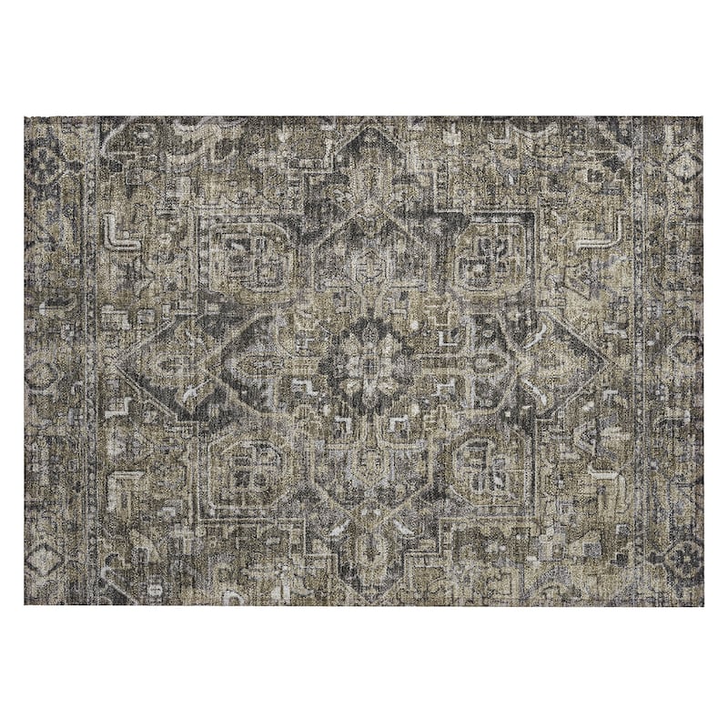Machine Washable Indoor/ Outdoor Traditional Boho Chantille Rug