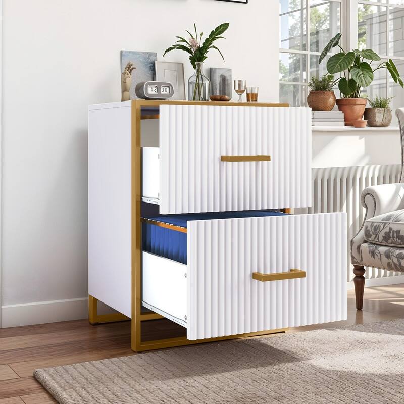 Moasis 2 Drawer File Cabinet with Gold Frame Filing Cabinet for Letter Size Printer Stand