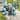 Outdoor Dining Sets Metal Chairs and Rectangular Table - 6 Seats
