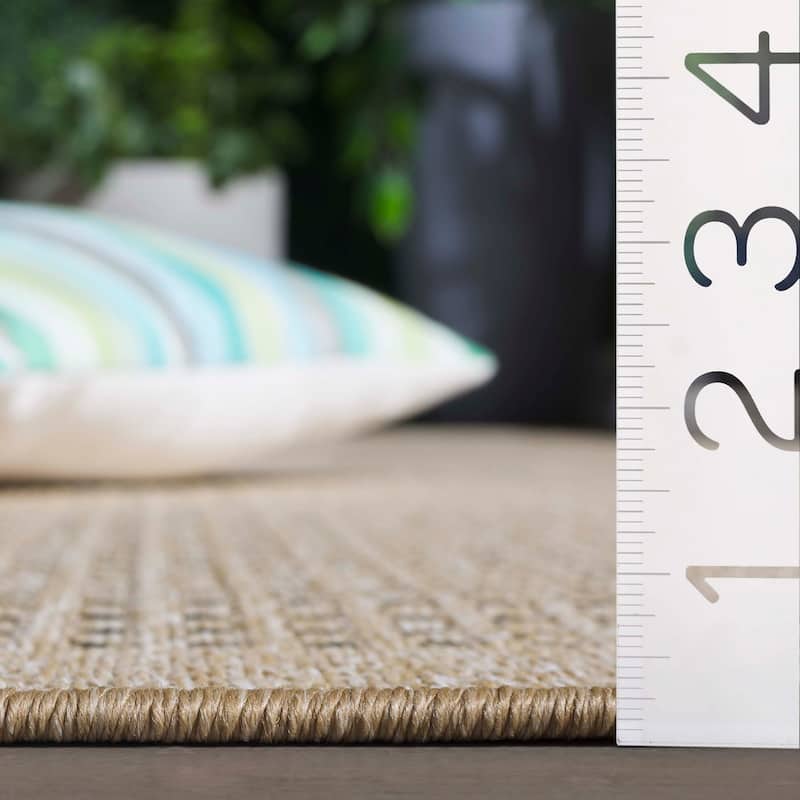 SAFAVIEH Sisal Stynke Performance Indoor/Outdoor Rug