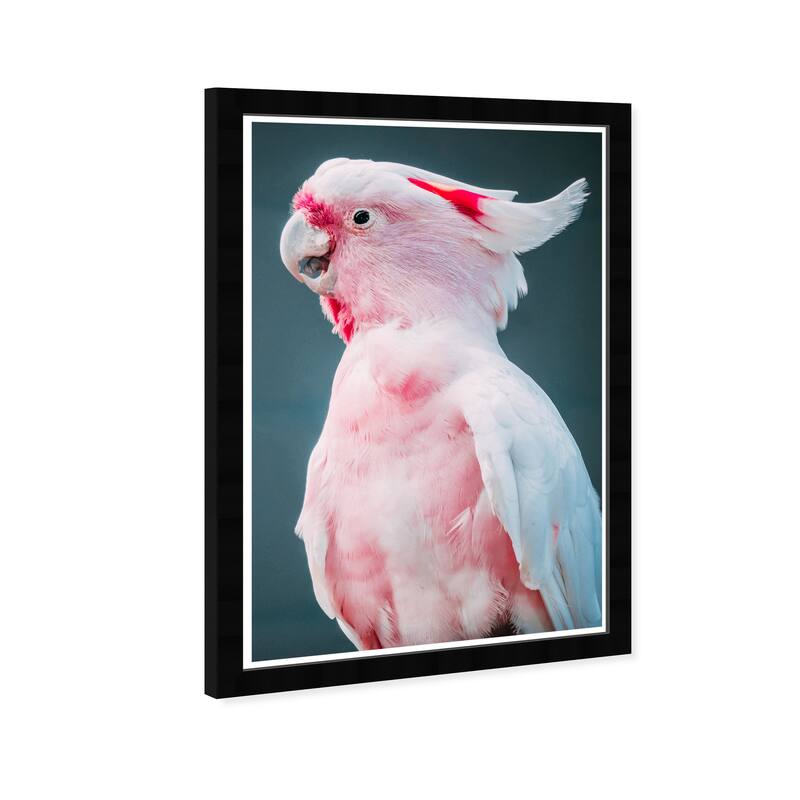 Wynwood Studio Prints Animals Talkative Cockatoo Pink and Tropical Wall Art Canvas Print
