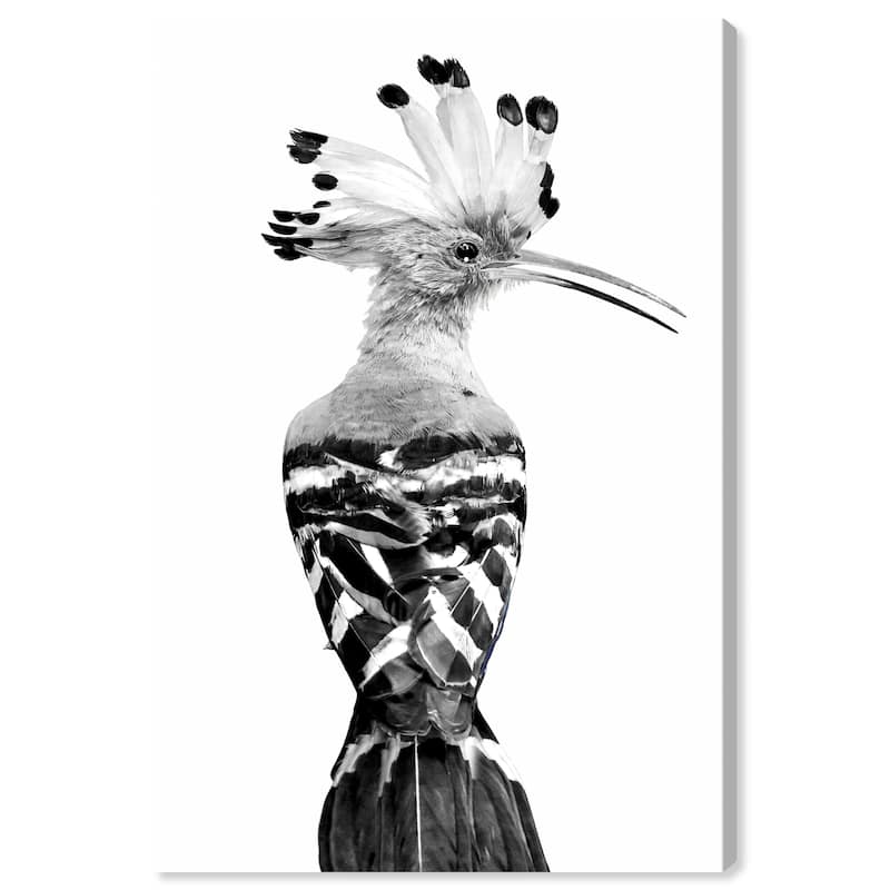 Wynwood Studio Canvas Animals Hoopoe Black and White Black and Glam Wall Art Canvas Print