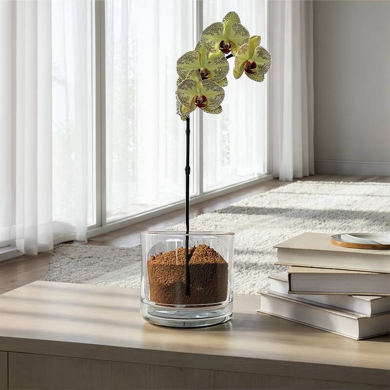Hand-Blown Glass Planter with Drainage Hole and Saucer