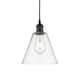 Option Oil Rubbed Bronze / Clear