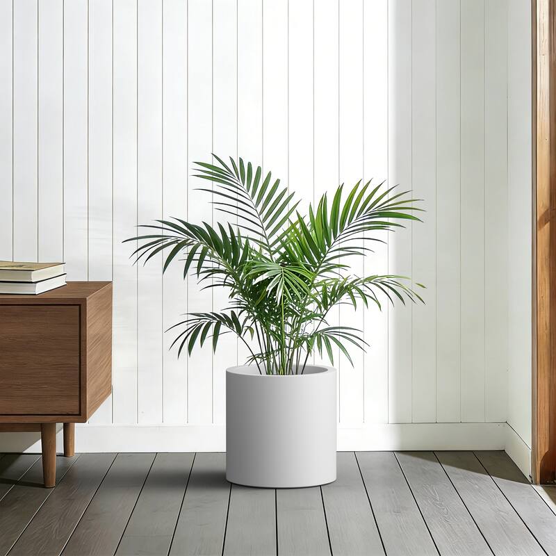 Concrete Tall Round Pot Cylindrical Flower Planter with Drainage Hole