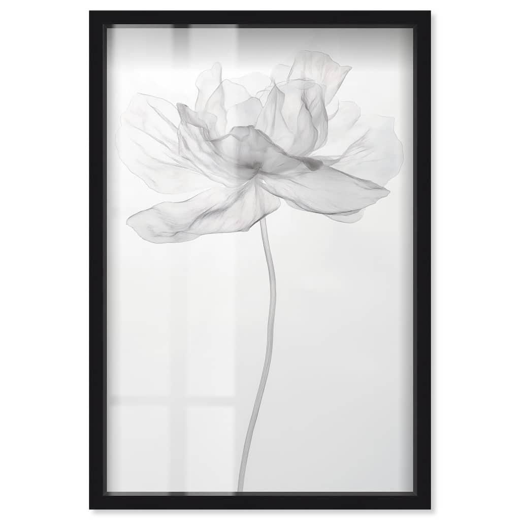 Fragile Beauty II Shadowbox by Art Remedy