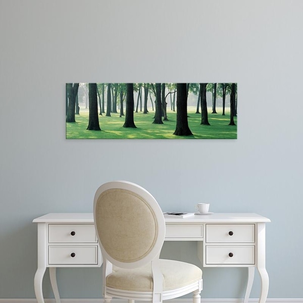 Easy Art Prints Panoramic Images's 'Trees in a lawn, British Columbia, Canada' Premium Canvas Art