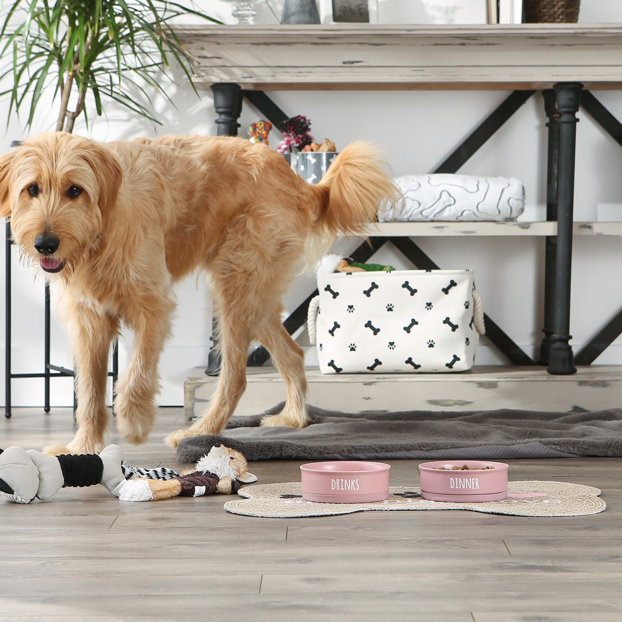 Bone Dry Pet Bowl Dinner And Drinks Set of 2 Bed Bath Beyond 34552255