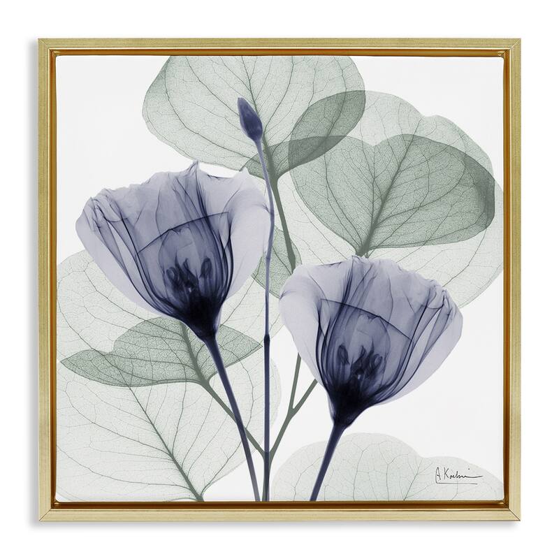 Stupell Contemporary Eucalyptus & Herbs Framed Floater Canvas Wall Art Design By Albert Koetsier - 18 x 18 - Gold