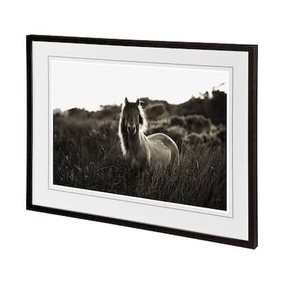 Evening Glow Framed Art Print