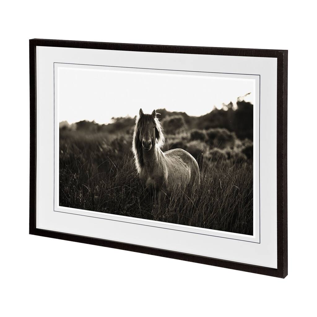 Evening Glow Framed Art Print