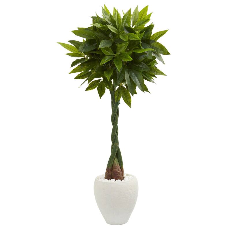 5ft Money Artificial Tree in White Oval Planter with Real Touch Green Leaves and Braided Trunk for Office Decoration