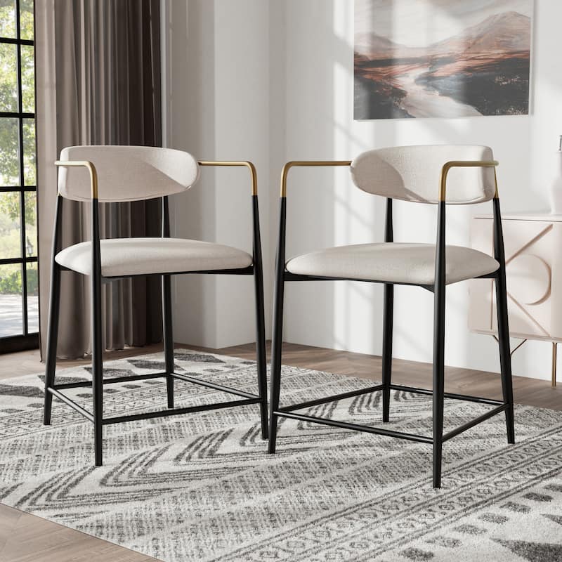 Furniture of America Darcy Modern Black Metal Counter Height Chairs (Set of 2) - Black