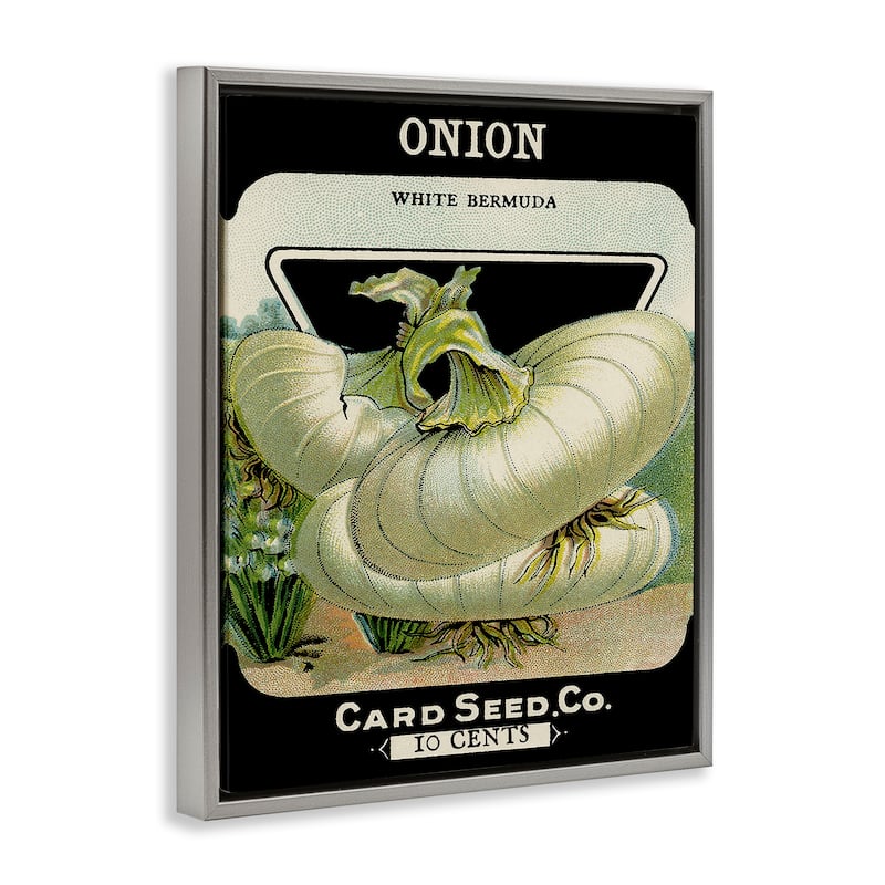 Stupell Vintage Garden Onion Framed Floater Canvas Wall Art Design By Lil' Rue