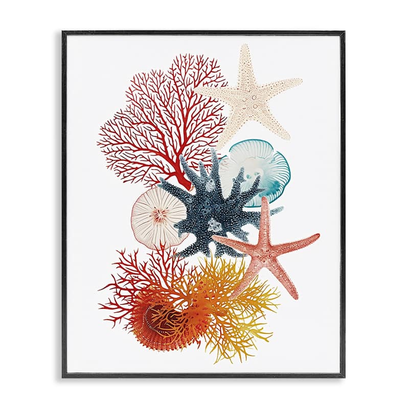 Stupell Coral & Undersea Creatures Framed Giclee Art Design By Ramona Murdock - 16 x 20 - Black