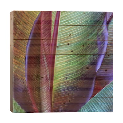 Banana Skin Print On Wood by Francois Casanova - Multi-Color