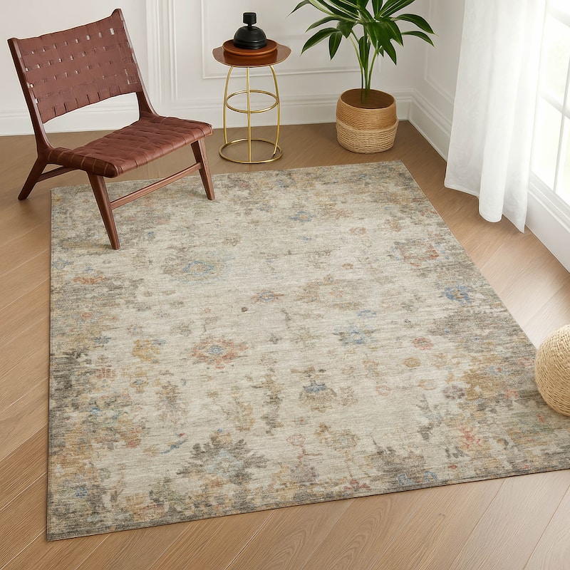 Machine Washable Indoor/ Outdoor Vintage Traditional Chantille Rug