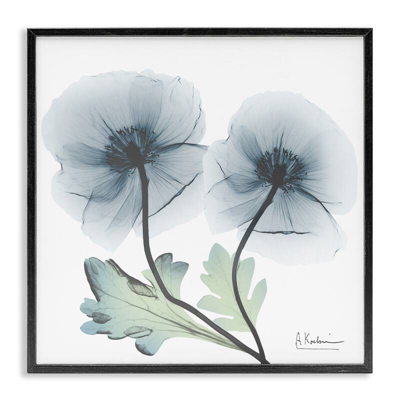 Stupell Sapphire Florals Duo Framed Giclee Art Design By Albert Koetsier - 24 x 24 - Black