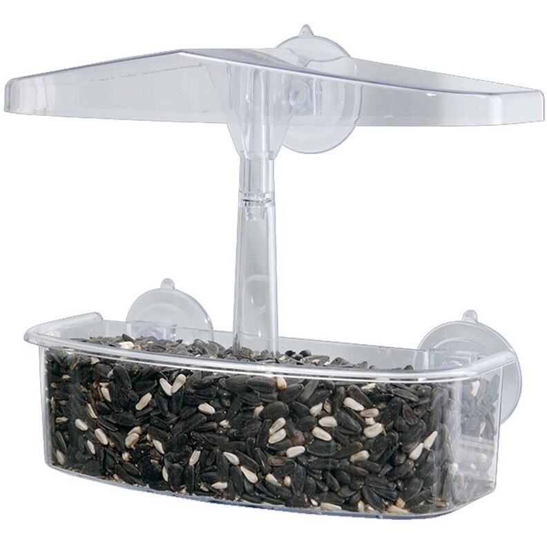 Shop Droll Yankees Owf Observer Window Bird Feeder Clear Free
