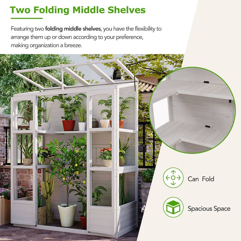 78-inch Wooden Cold Frame with 4 Independent Skylights and 2 Folding Middle Shelves