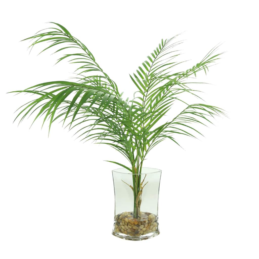 Areca Palm in Vase with Rocks and Acrylic Water - Green