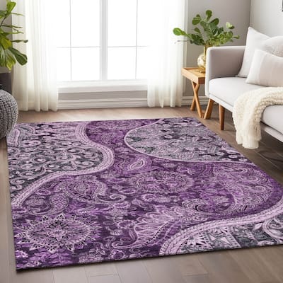 Machine Washable Indoor/ Outdoor Modern Paisley Chantille Rug