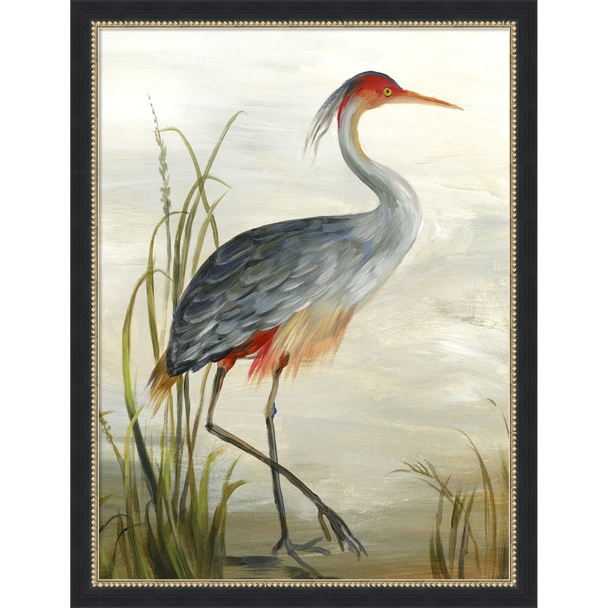 Grey Heron by Aimee Wilson Framed Mounted Canvas Wall Art Print