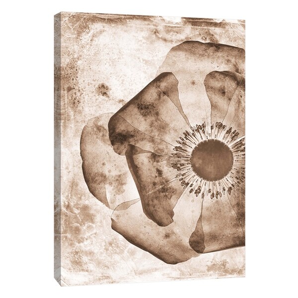 PTM Images 9-105792 PTM Canvas Collection 10" x 8" - "Sepia Flower Inversions 1" Giclee Flowers Art Print on Canvas