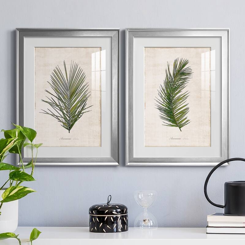 Palm Botanical I Premium Framed Print - Ready to Hang