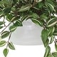 preview thumbnail 4 of 2, Faux Tradescantia Plant in Ceramic Vase - Green