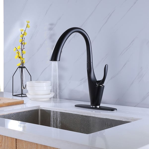 Pull Down Single Handle Kitchen Faucet - Overstock - 32640810