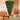 7.4 ft Upside Down Green Christmas Tree Hinged Spruce Full Tree