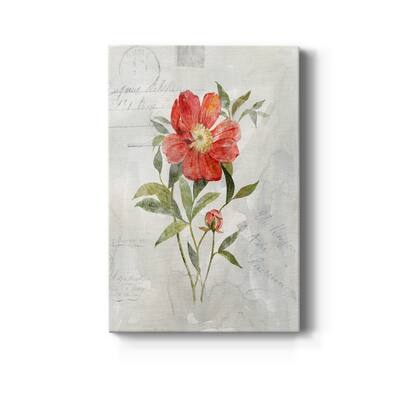 Linen Peony Premium Gallery Wrapped Canvas - Ready to Hang