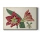 preview thumbnail 1 of 5, Amaryllis Splendor I Premium Gallery Wrapped Canvas - Ready to Hang 12X18
