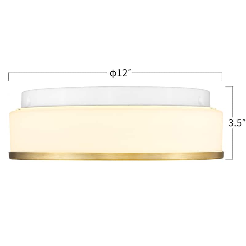 Flush Mount Ceiling Light with Frosted Glass Shade - N/A