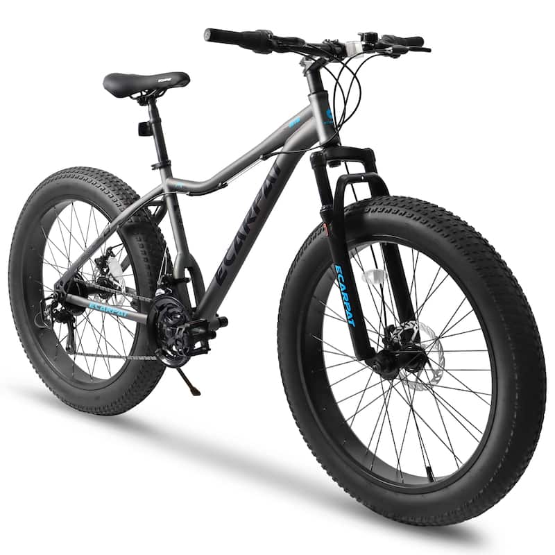 Ecarpat 26-inch Fat Tires Mountain Bike - Gray