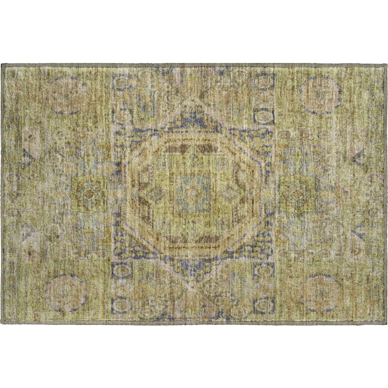 Premium Washable Super Soft Vintage Traditional Mayfield Rug